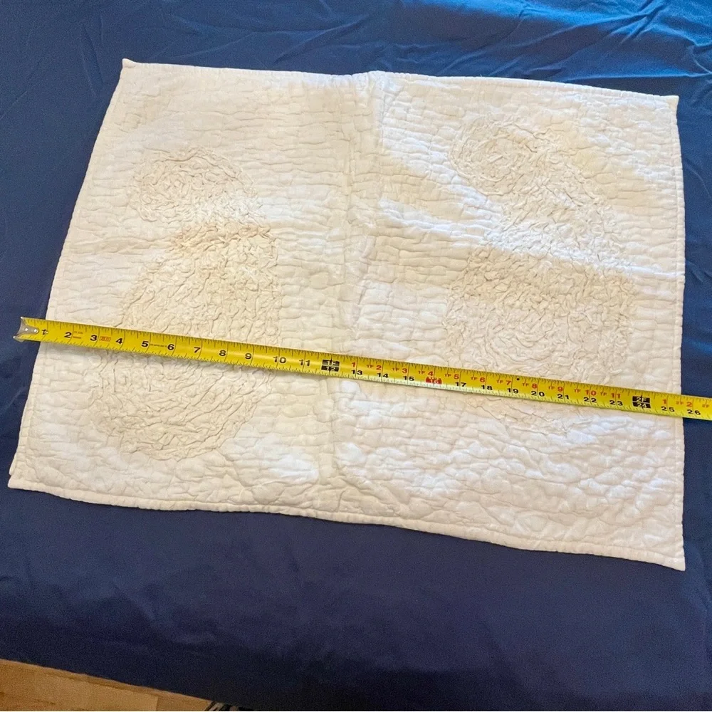 Pottery Barn Off White 3 Pillow Shams